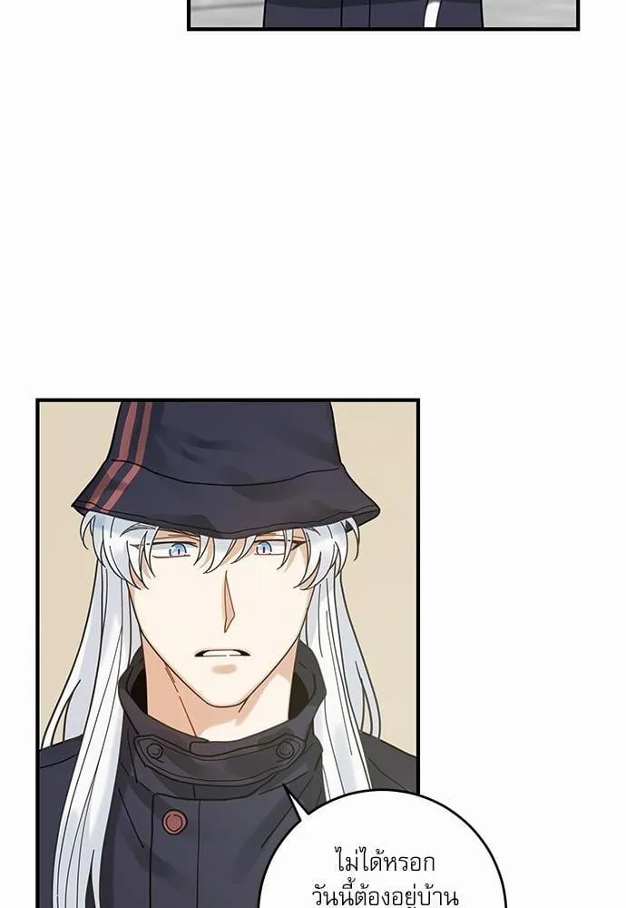 My One and Only Cat ตอนที่ 3422 My One and Only Cat ตอนที่ 3422