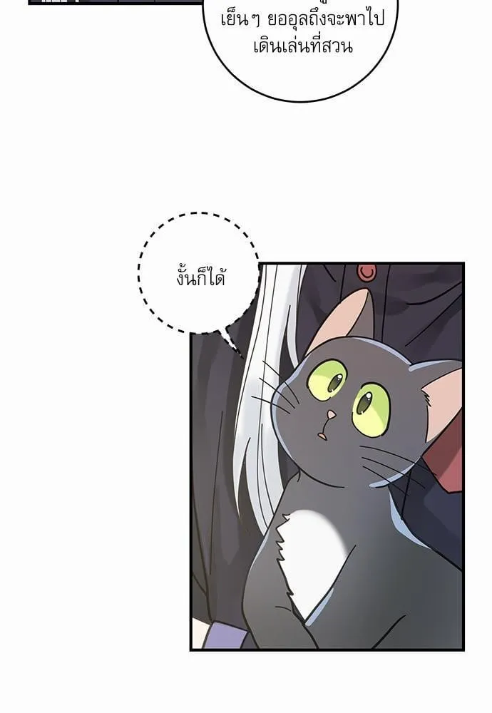 My One and Only Cat ตอนที่ 3423 My One and Only Cat ตอนที่ 3423