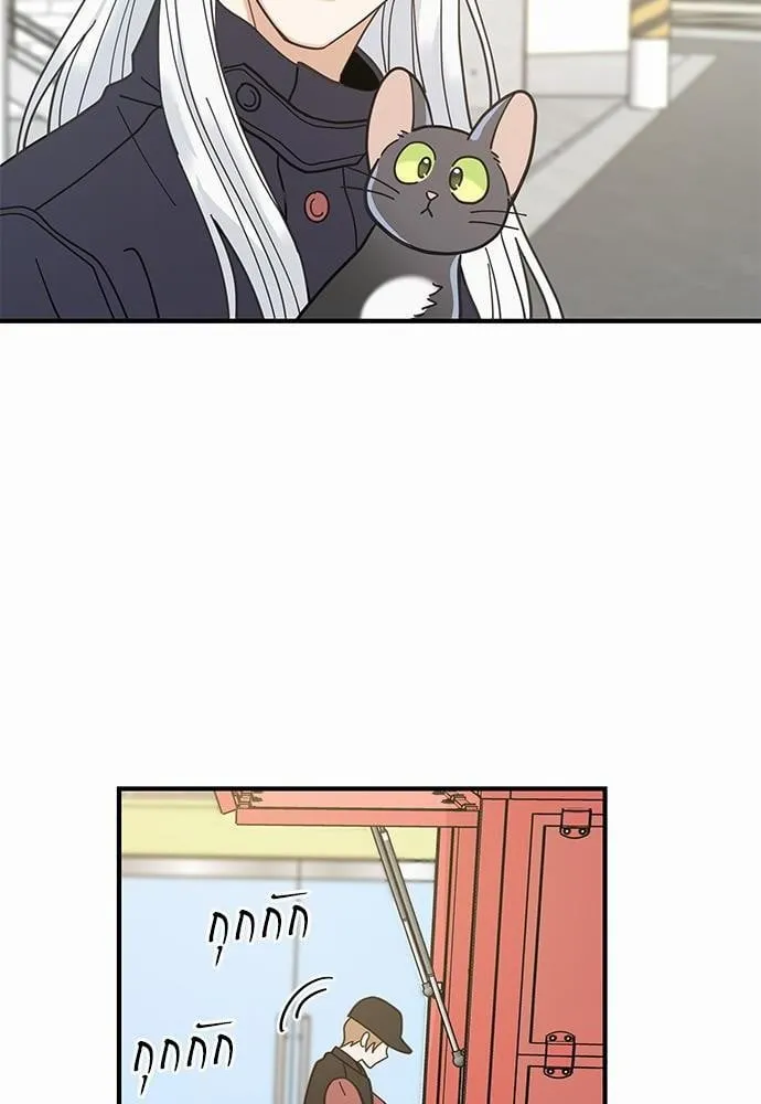 My One and Only Cat ตอนที่ 3426 My One and Only Cat ตอนที่ 3426