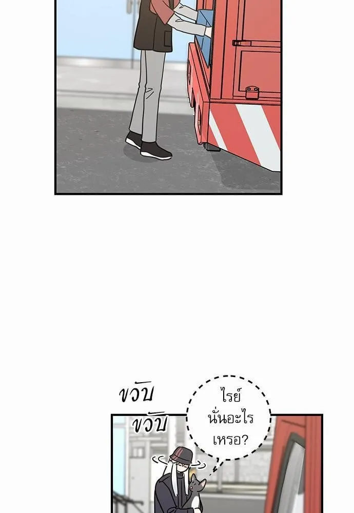 My One and Only Cat ตอนที่ 3427 My One and Only Cat ตอนที่ 3427