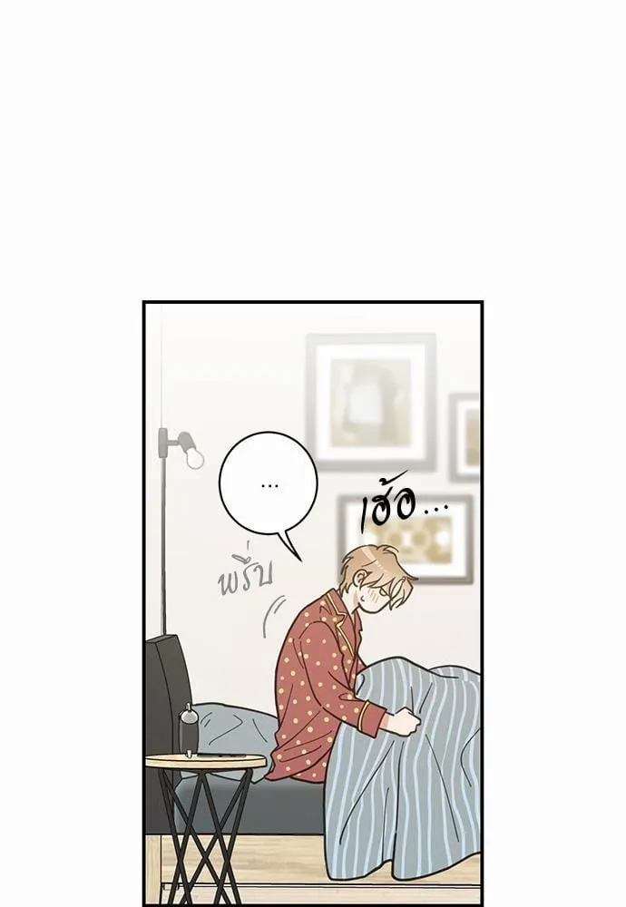 My One and Only Cat ตอนที่ 343 My One and Only Cat ตอนที่ 343