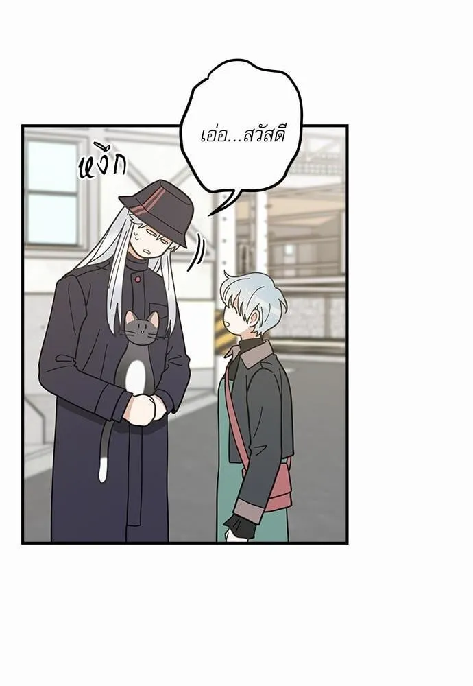 My One and Only Cat ตอนที่ 3432 My One and Only Cat ตอนที่ 3432