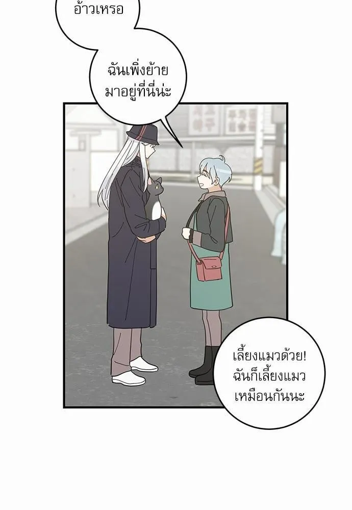 My One and Only Cat ตอนที่ 3435 My One and Only Cat ตอนที่ 3435