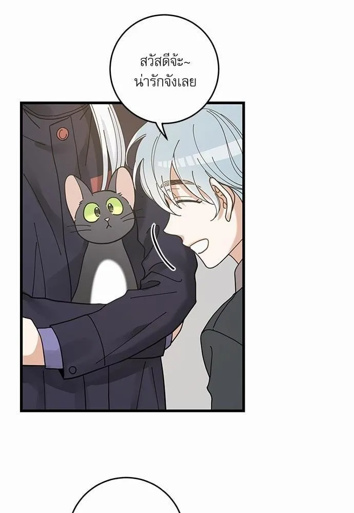 My One and Only Cat ตอนที่ 3436 My One and Only Cat ตอนที่ 3436
