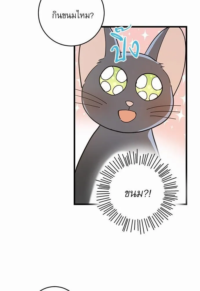 My One and Only Cat ตอนที่ 3437 My One and Only Cat ตอนที่ 3437