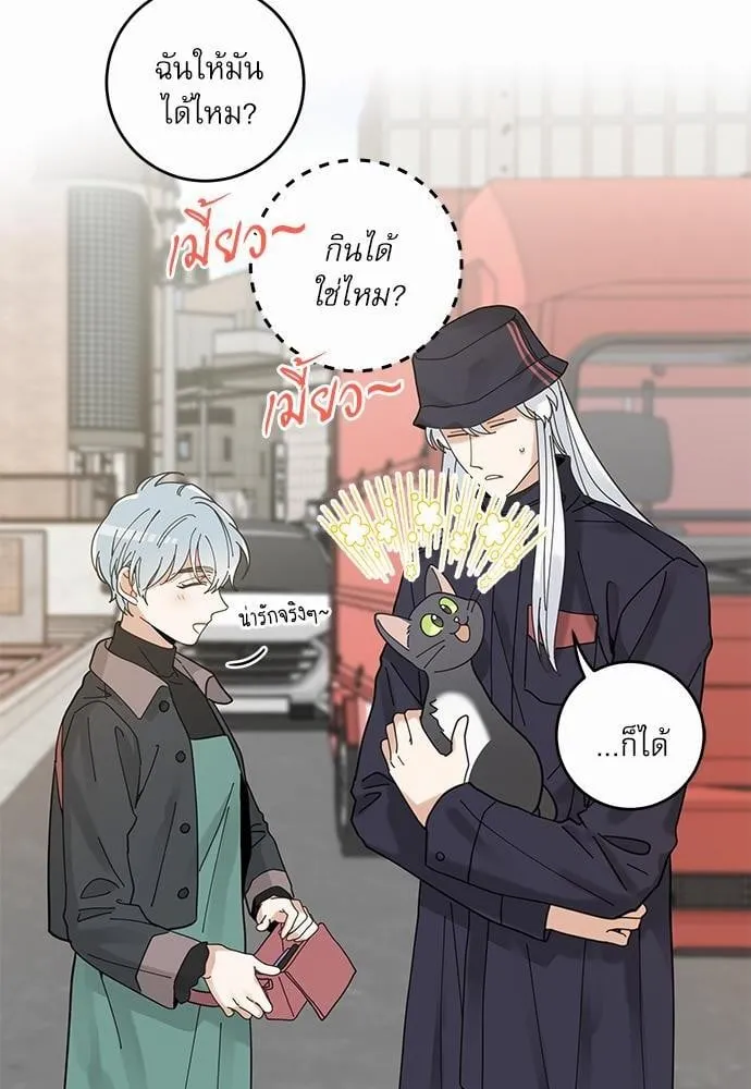 My One and Only Cat ตอนที่ 3438 My One and Only Cat ตอนที่ 3438