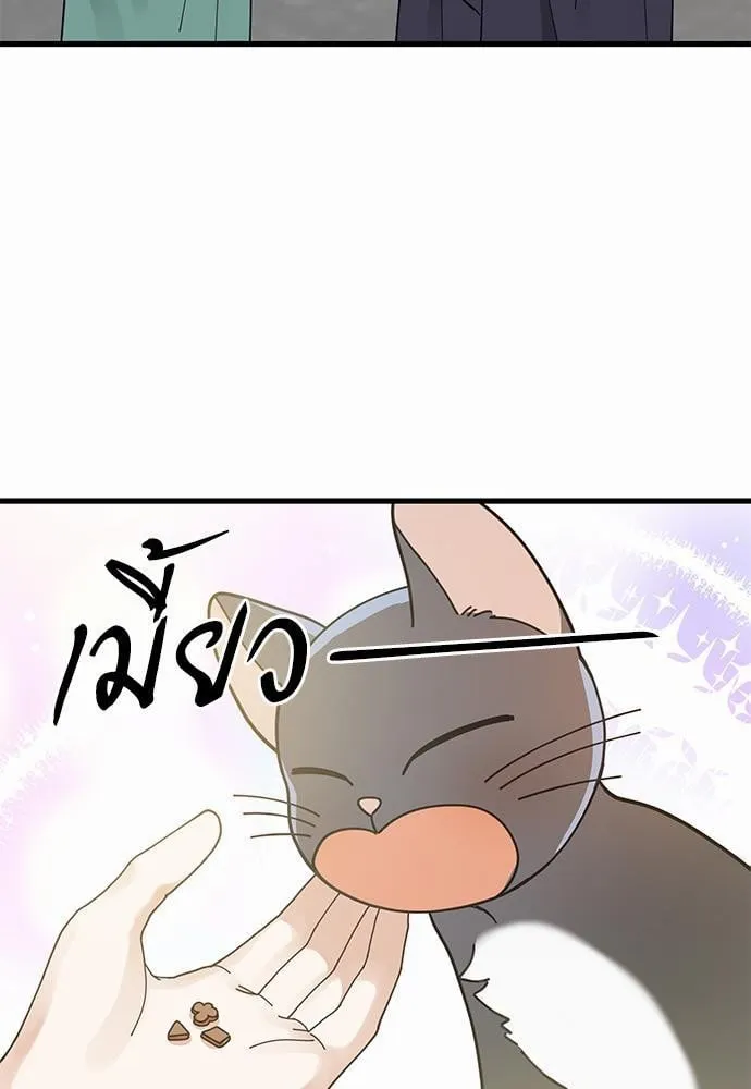 My One and Only Cat ตอนที่ 3439 My One and Only Cat ตอนที่ 3439