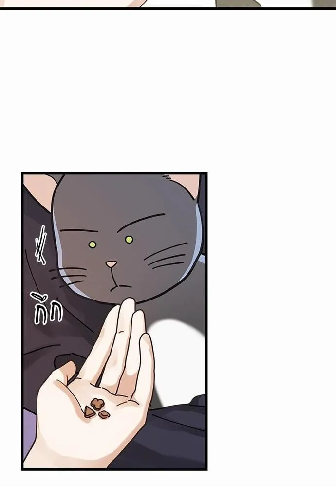My One and Only Cat ตอนที่ 3440 My One and Only Cat ตอนที่ 3440