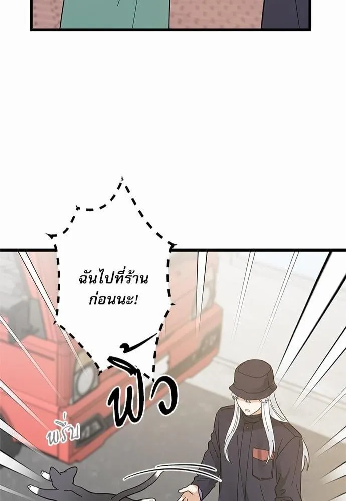 My One and Only Cat ตอนที่ 3442 My One and Only Cat ตอนที่ 3442