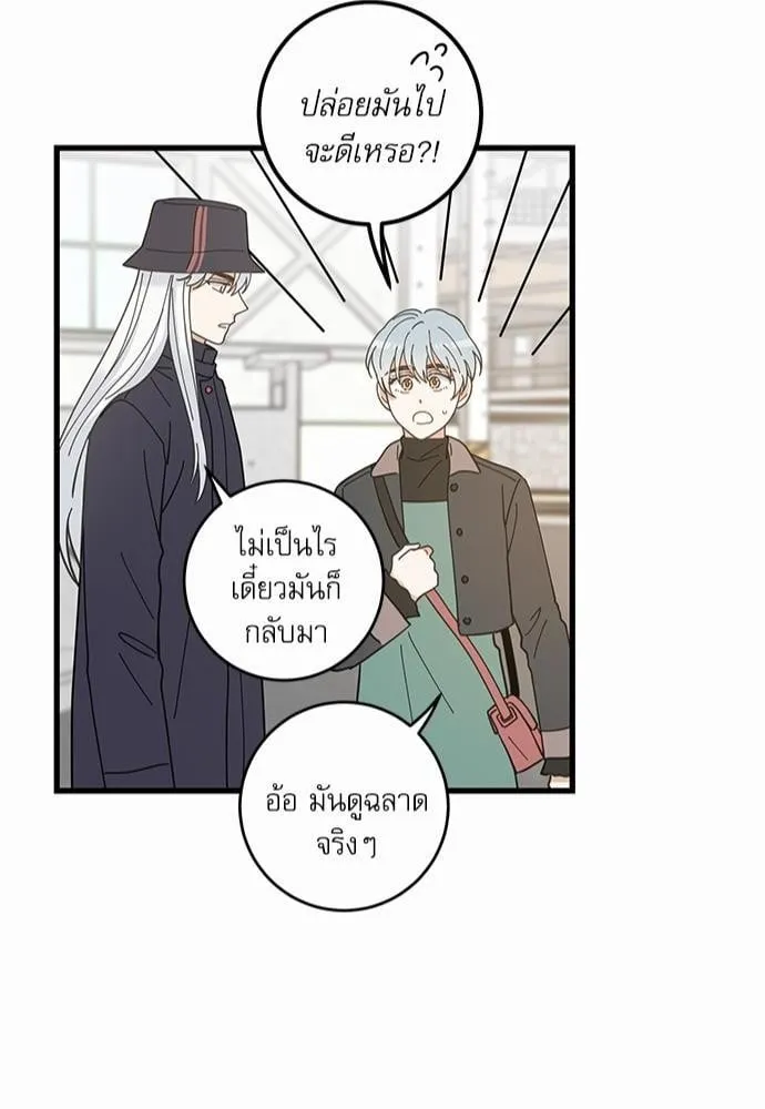 My One and Only Cat ตอนที่ 3444 My One and Only Cat ตอนที่ 3444