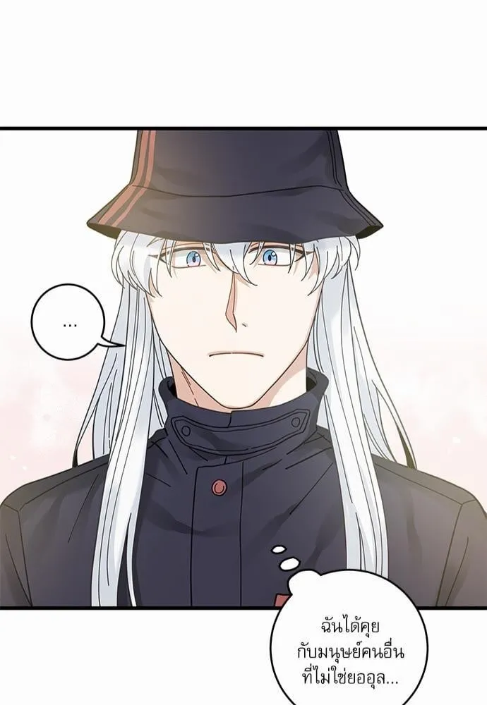 My One and Only Cat ตอนที่ 3447 My One and Only Cat ตอนที่ 3447