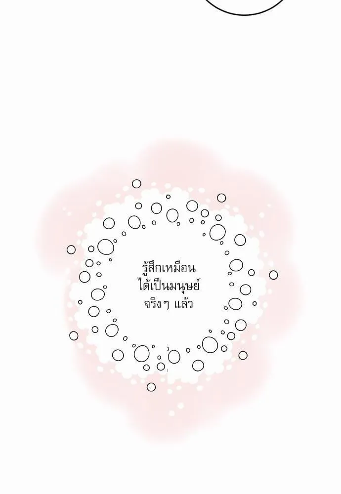 My One and Only Cat ตอนที่ 3448 My One and Only Cat ตอนที่ 3448