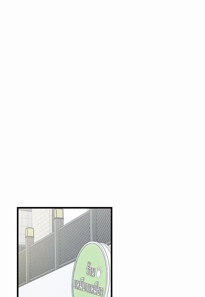 My One and Only Cat ตอนที่ 3449 My One and Only Cat ตอนที่ 3449