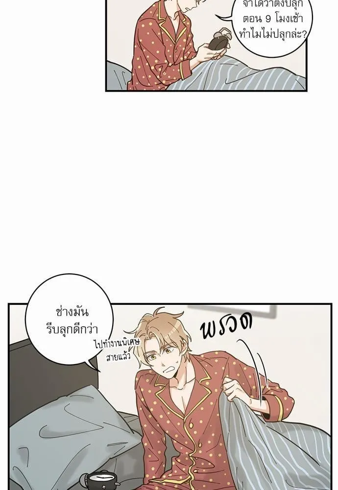 My One and Only Cat ตอนที่ 345 My One and Only Cat ตอนที่ 345