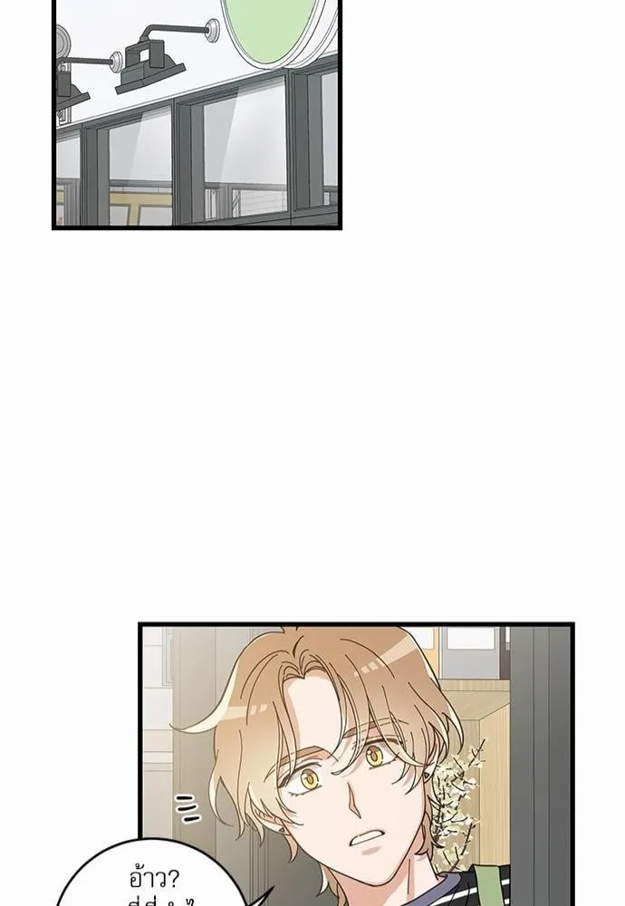 My One and Only Cat ตอนที่ 3450 My One and Only Cat ตอนที่ 3450