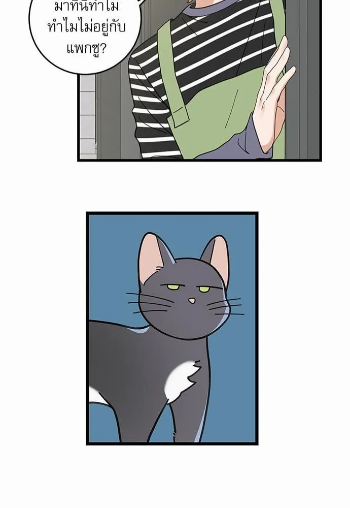 My One and Only Cat ตอนที่ 3451 My One and Only Cat ตอนที่ 3451