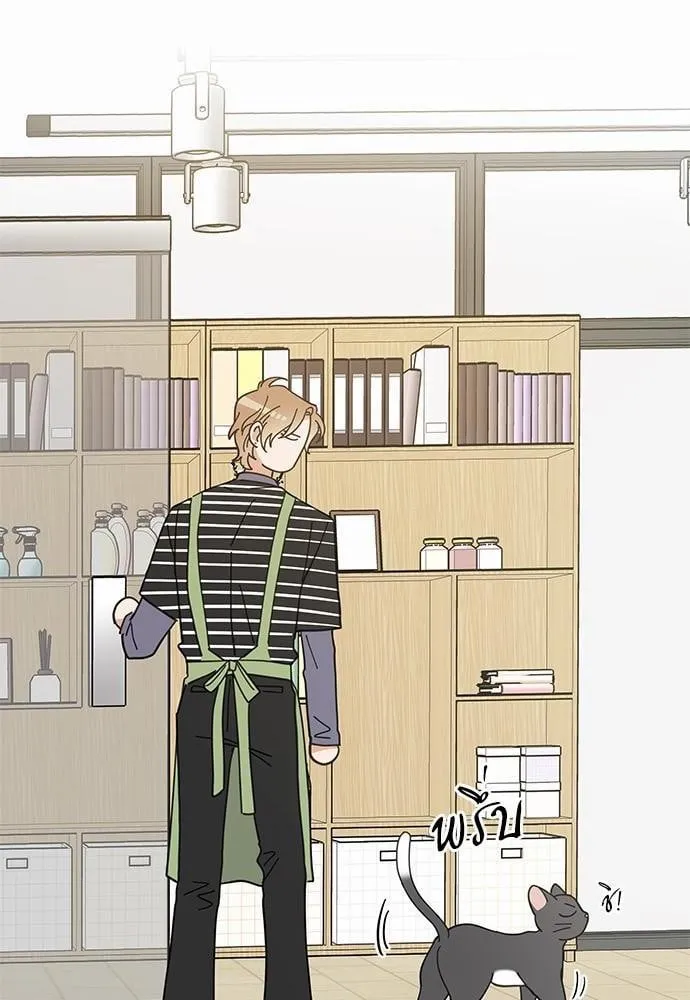 My One and Only Cat ตอนที่ 3452 My One and Only Cat ตอนที่ 3452