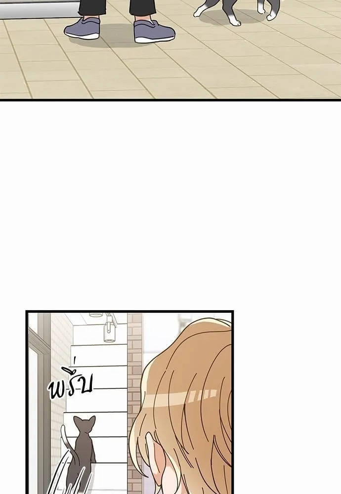 My One and Only Cat ตอนที่ 3453 My One and Only Cat ตอนที่ 3453