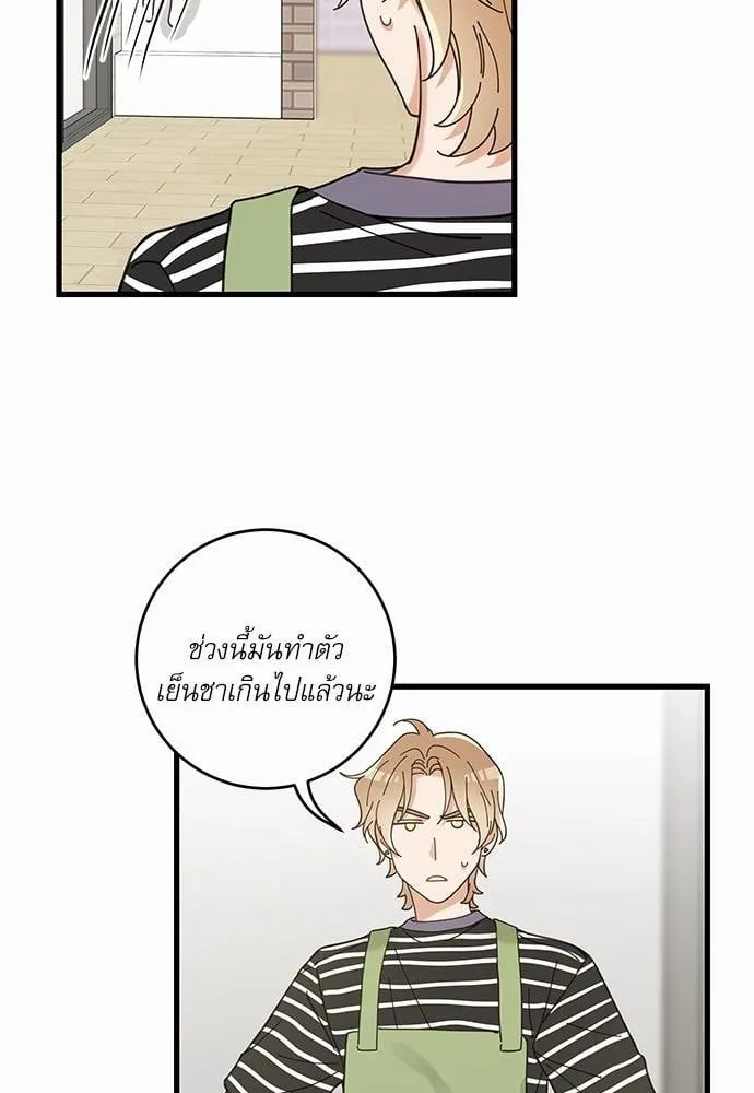 My One and Only Cat ตอนที่ 3454 My One and Only Cat ตอนที่ 3454