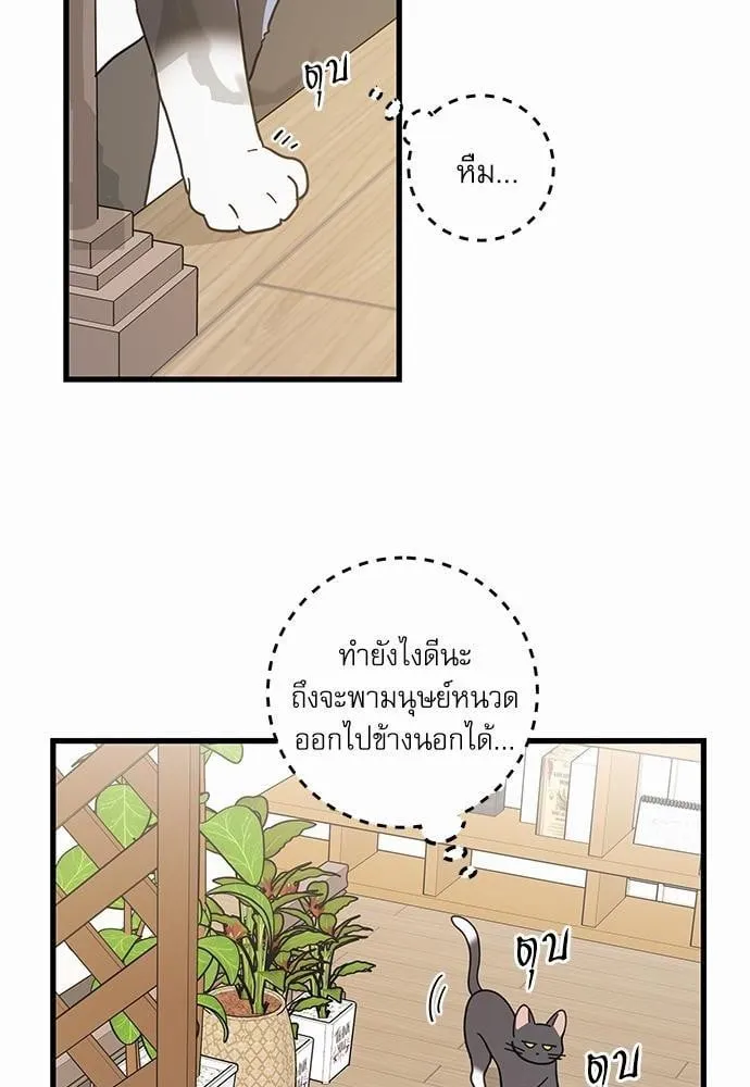 My One and Only Cat ตอนที่ 3456 My One and Only Cat ตอนที่ 3456