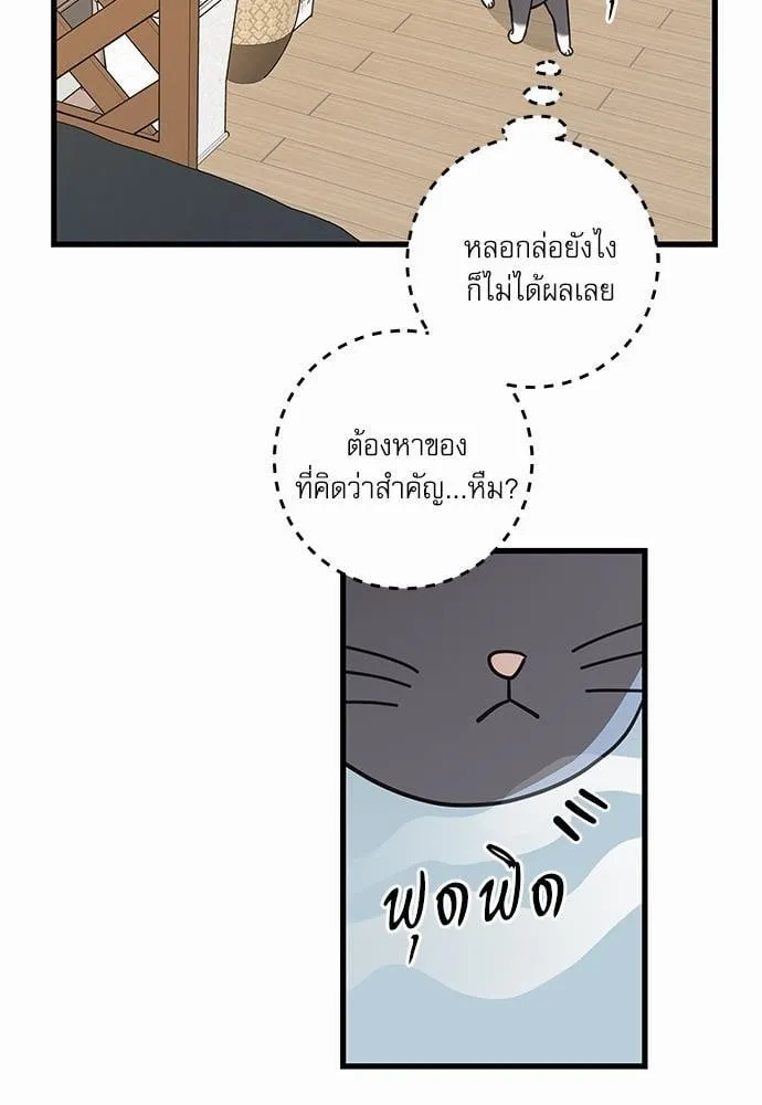 My One and Only Cat ตอนที่ 3457 My One and Only Cat ตอนที่ 3457