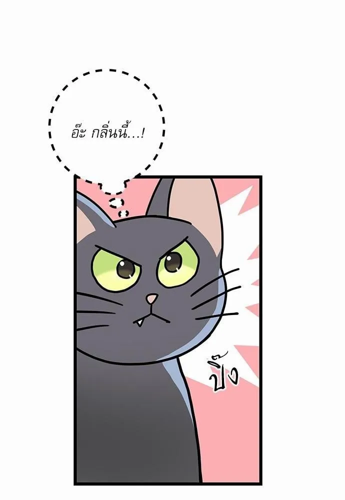 My One and Only Cat ตอนที่ 3458 My One and Only Cat ตอนที่ 3458