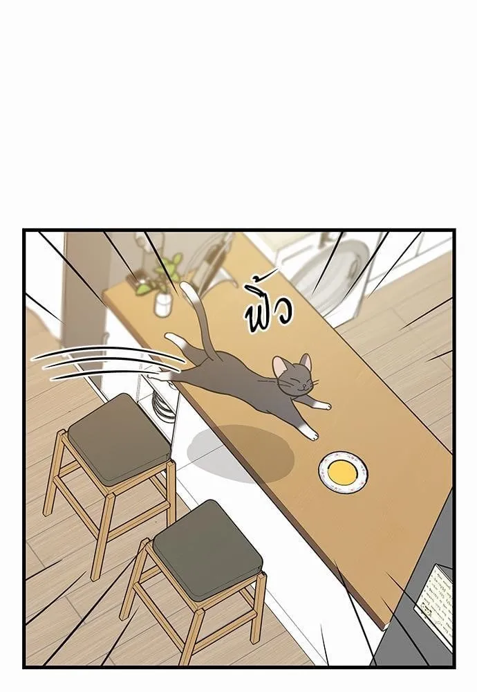 My One and Only Cat ตอนที่ 3459 My One and Only Cat ตอนที่ 3459