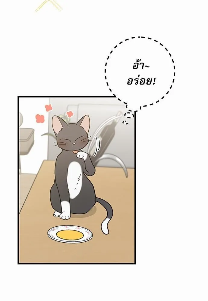My One and Only Cat ตอนที่ 3461 My One and Only Cat ตอนที่ 3461