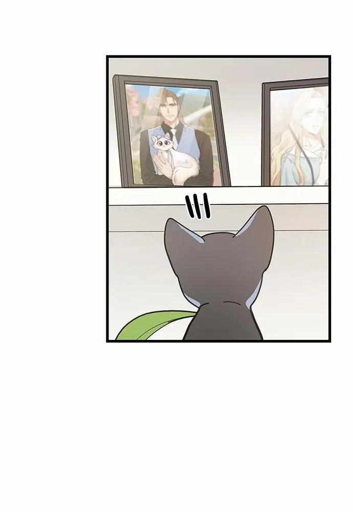 My One and Only Cat ตอนที่ 3462 My One and Only Cat ตอนที่ 3462