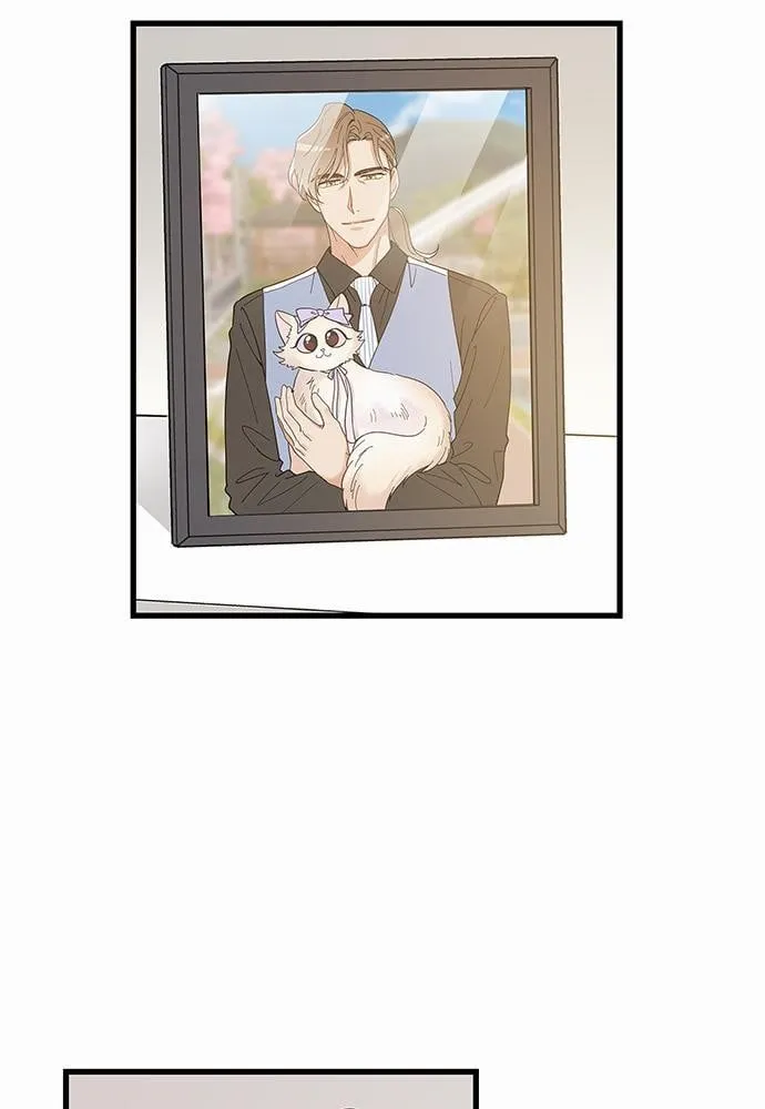 My One and Only Cat ตอนที่ 3463 My One and Only Cat ตอนที่ 3463