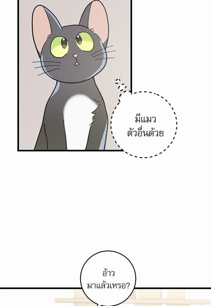 My One and Only Cat ตอนที่ 3464 My One and Only Cat ตอนที่ 3464