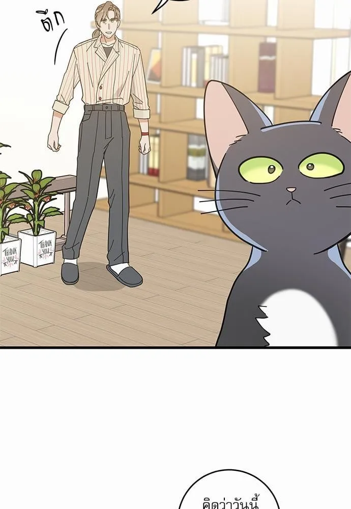 My One and Only Cat ตอนที่ 3465 My One and Only Cat ตอนที่ 3465