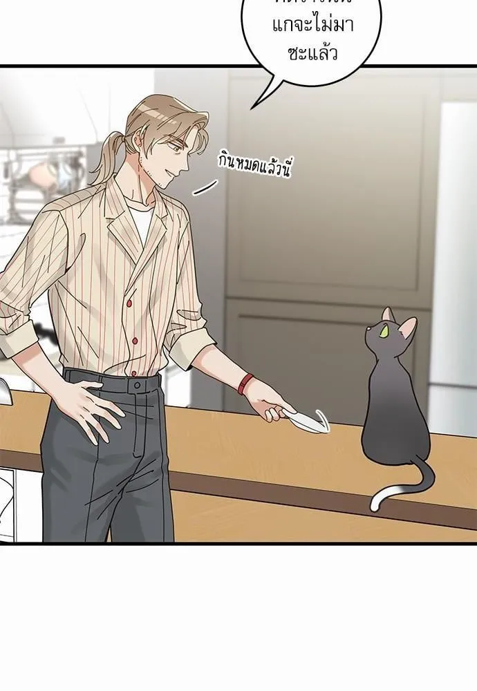 My One and Only Cat ตอนที่ 3466 My One and Only Cat ตอนที่ 3466