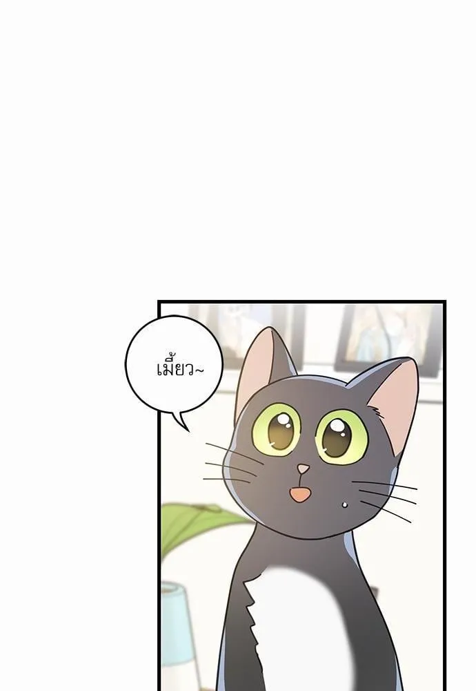 My One and Only Cat ตอนที่ 3468 My One and Only Cat ตอนที่ 3468