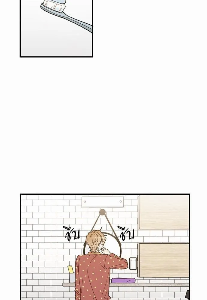 My One and Only Cat ตอนที่ 347 My One and Only Cat ตอนที่ 347