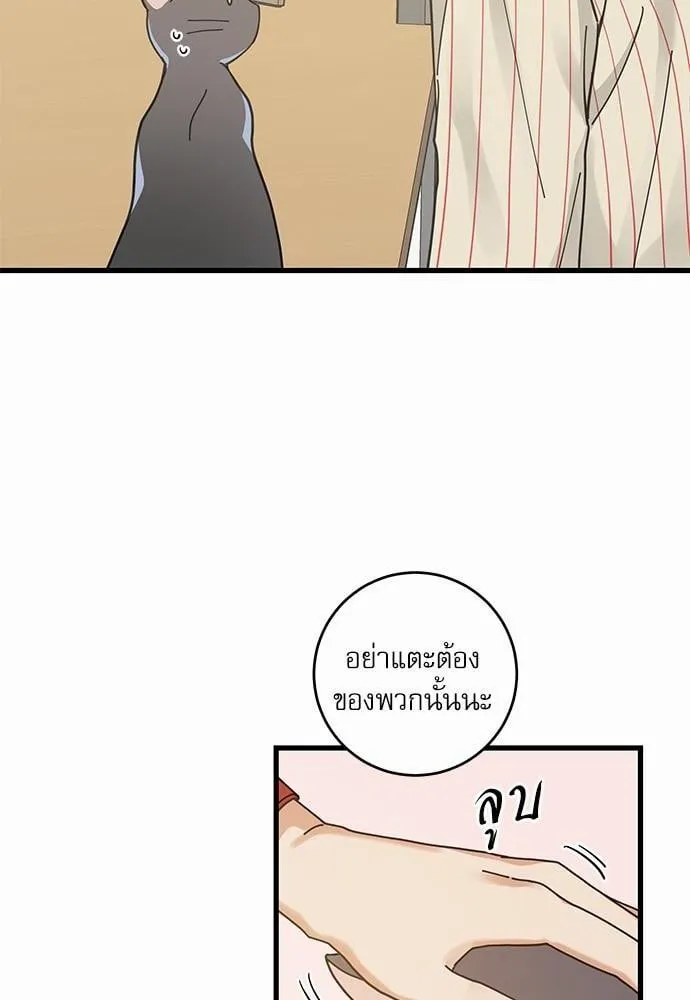 My One and Only Cat ตอนที่ 3470 My One and Only Cat ตอนที่ 3470