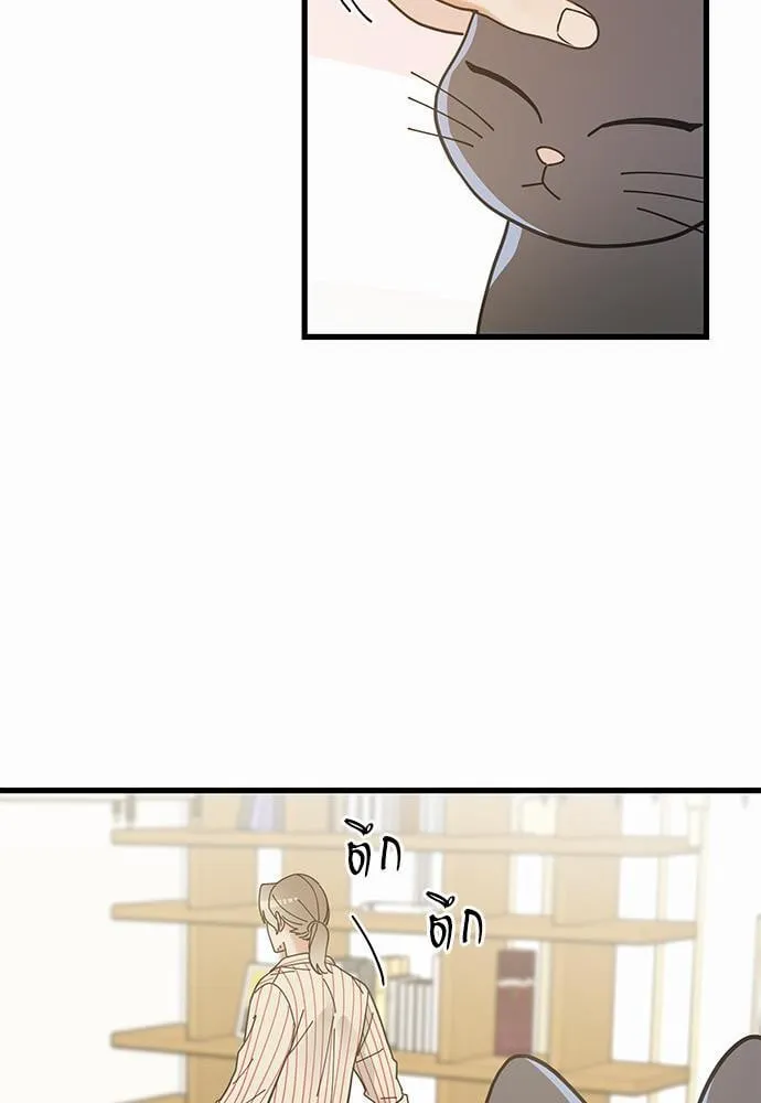 My One and Only Cat ตอนที่ 3471 My One and Only Cat ตอนที่ 3471