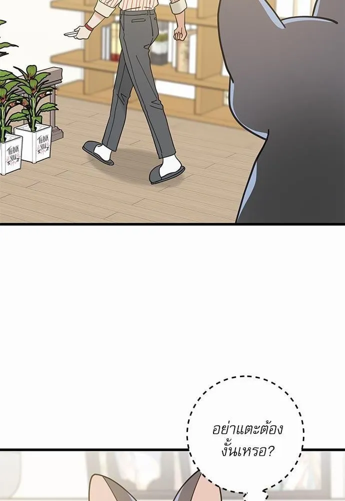 My One and Only Cat ตอนที่ 3472 My One and Only Cat ตอนที่ 3472