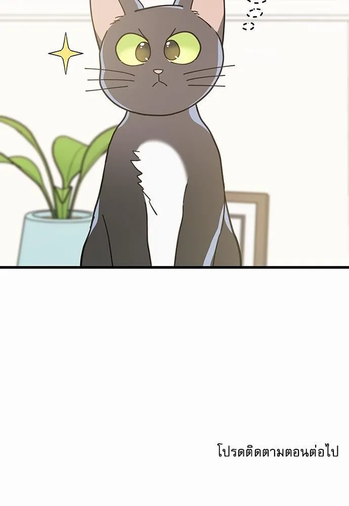 My One and Only Cat ตอนที่ 3473 My One and Only Cat ตอนที่ 3473