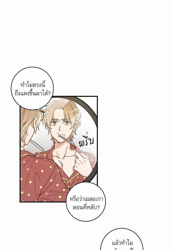 My One and Only Cat ตอนที่ 349 My One and Only Cat ตอนที่ 349