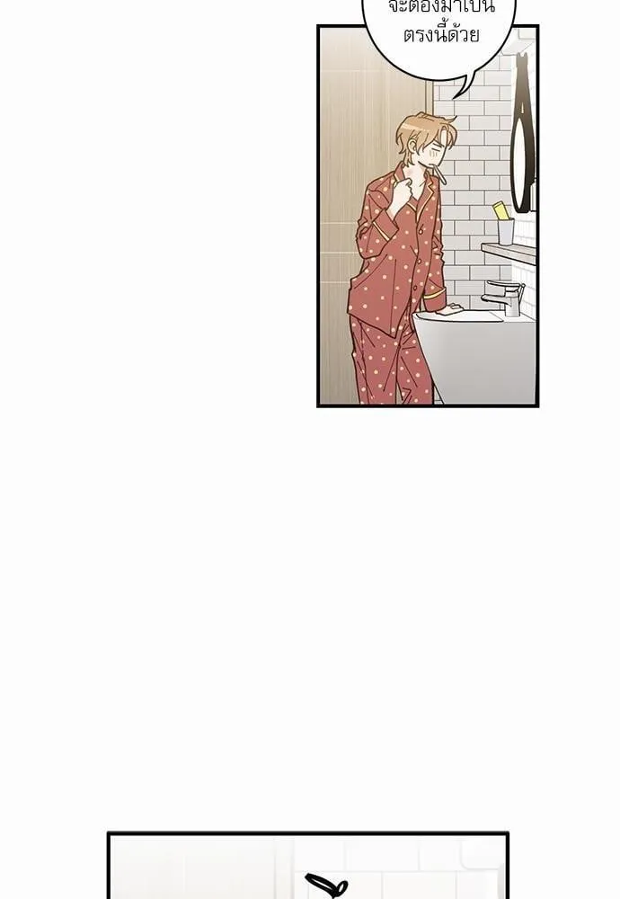 My One and Only Cat ตอนที่ 350 My One and Only Cat ตอนที่ 350