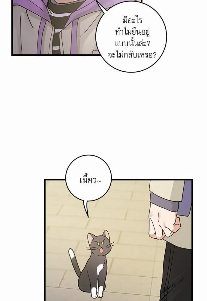 My One and Only Cat ตอนที่ 3504