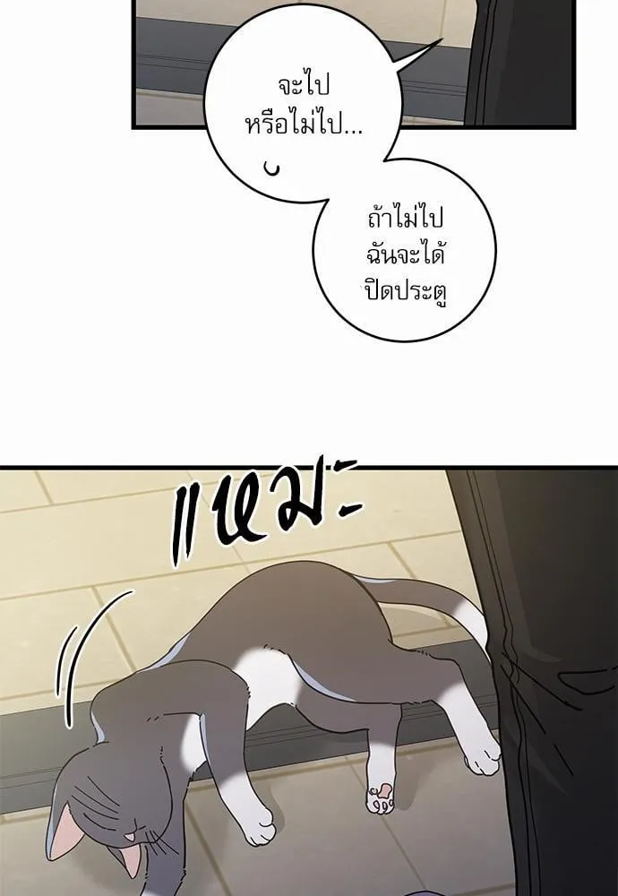 My One and Only Cat ตอนที่ 3505