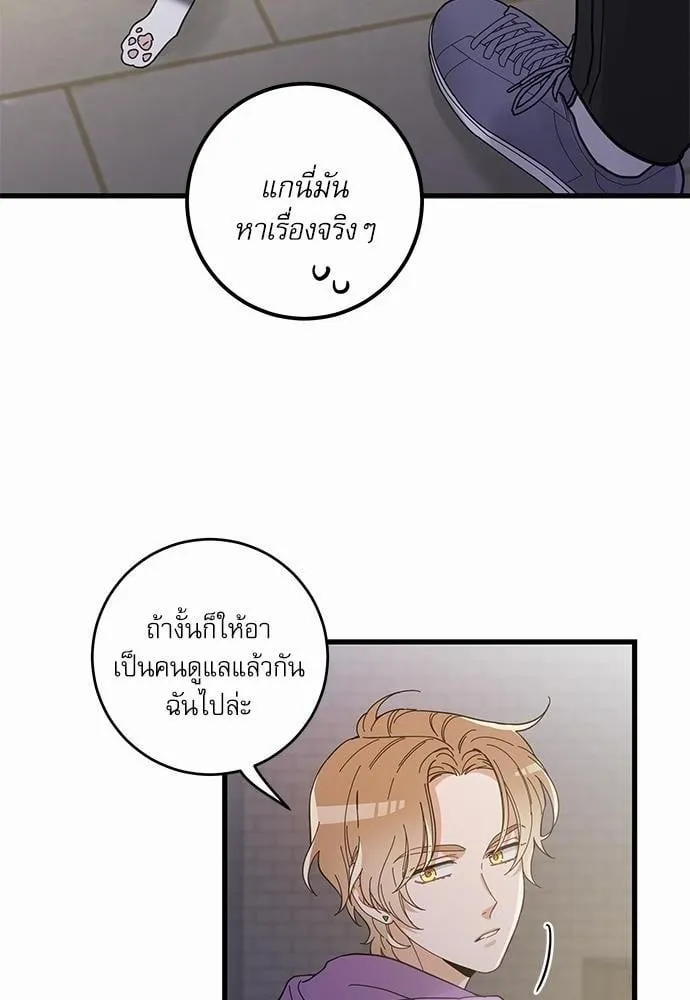 My One and Only Cat ตอนที่ 3506