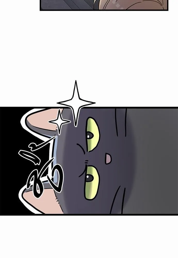 My One and Only Cat ตอนที่ 3511