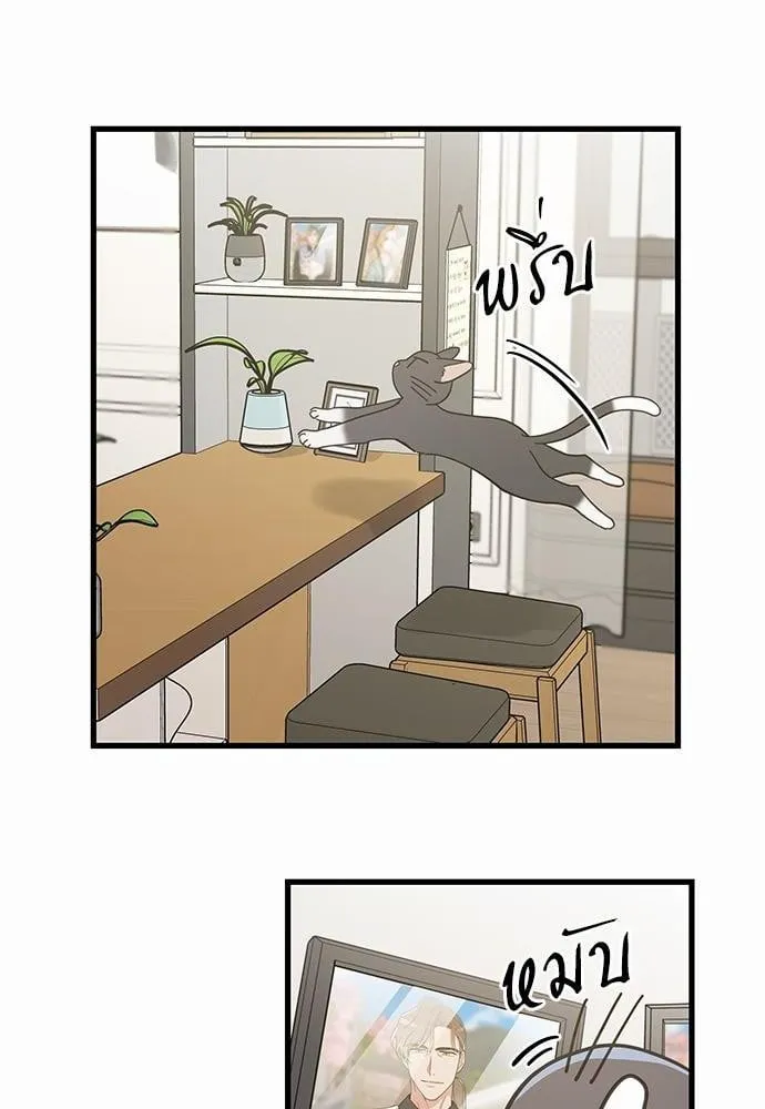 My One and Only Cat ตอนที่ 3516