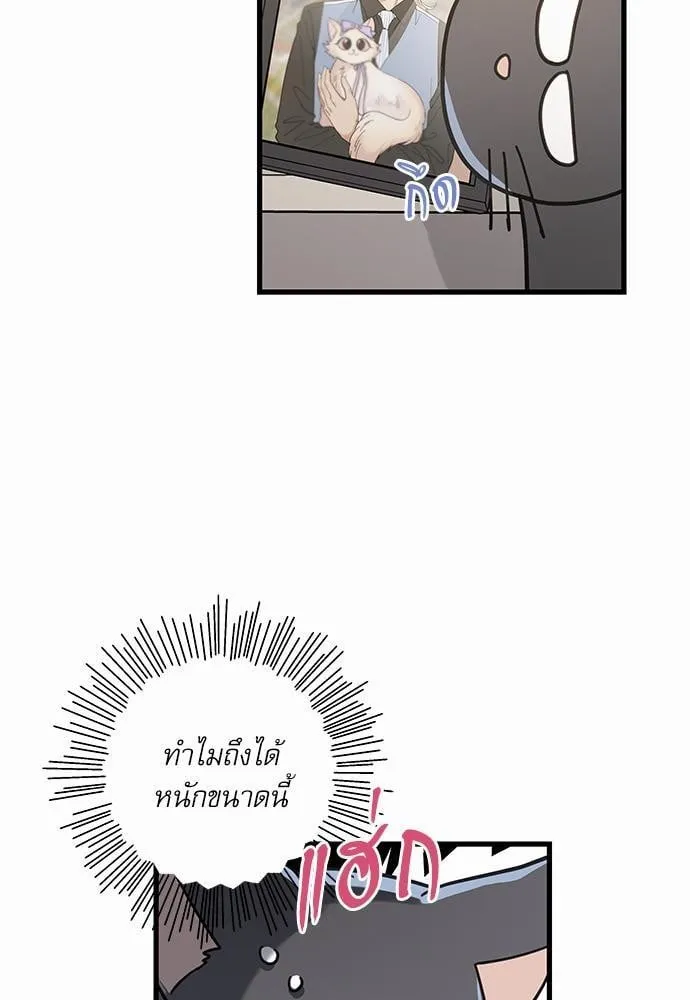 My One and Only Cat ตอนที่ 3517