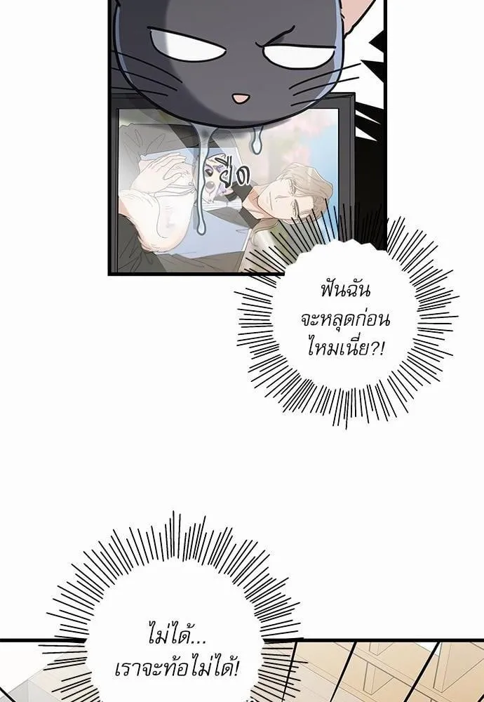 My One and Only Cat ตอนที่ 3518