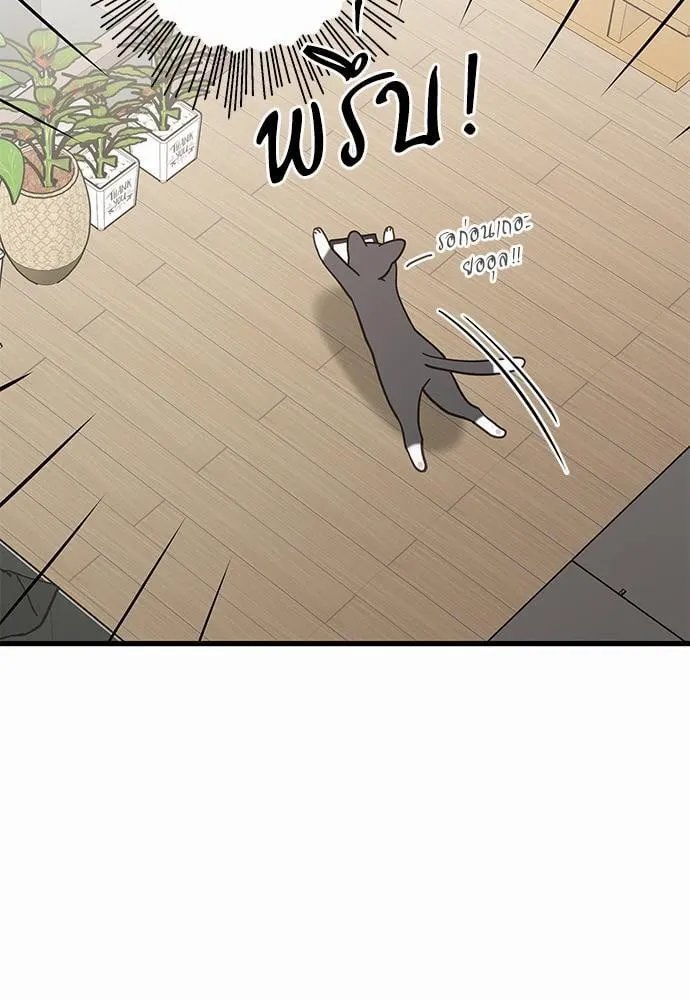 My One and Only Cat ตอนที่ 3519