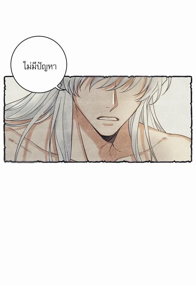 My One and Only Cat ตอนที่ 352 My One and Only Cat ตอนที่ 352